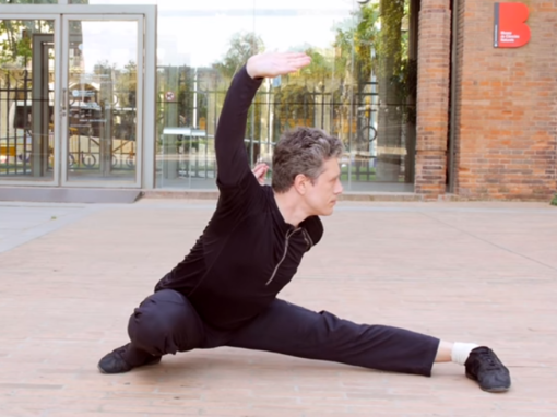 Wu Shu / Kung Fu