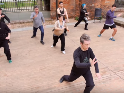 Tai Qi Quan / Qi Gong